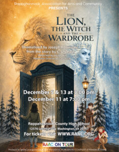 Lion WItch Wardrobe
